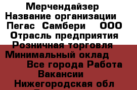 Мерчендайзер › Название организации ­ "Пегас" Самбери-3, ООО › Отрасль предприятия ­ Розничная торговля › Минимальный оклад ­ 23 500 - Все города Работа » Вакансии   . Нижегородская обл.,Дзержинск г.